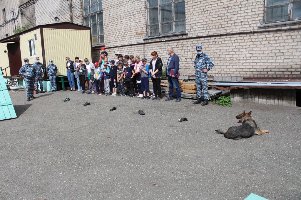 Выборка вещи по запаху из множества представленных предметов. Фото: полиция Серова