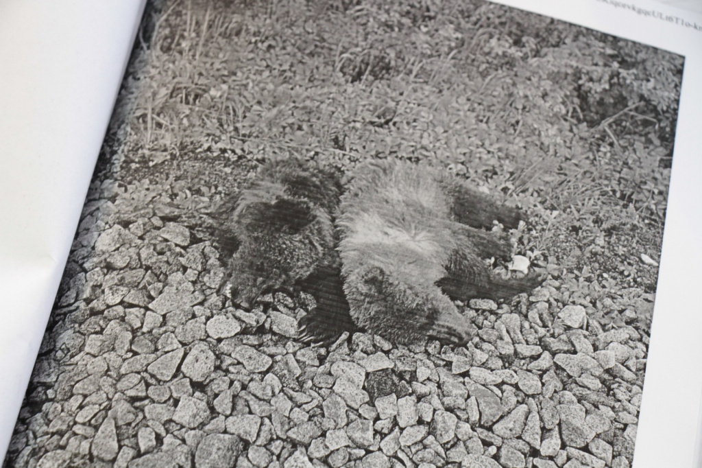 Ущерб от гибели двух медвежат составил 120 тысяч рублей. Фото: Константин Бобылев, "Глобус"
