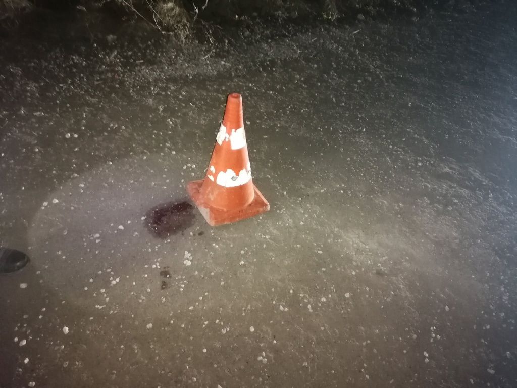 42-летнего мужчину с травмами доставили в больницу. Фото: Госавтоинспекция Серова