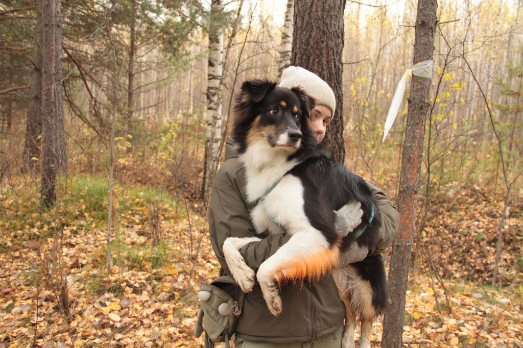 Ами на руках у хозяйки после переправы через реку. Фото: Константин Бобылев, "Глобус"