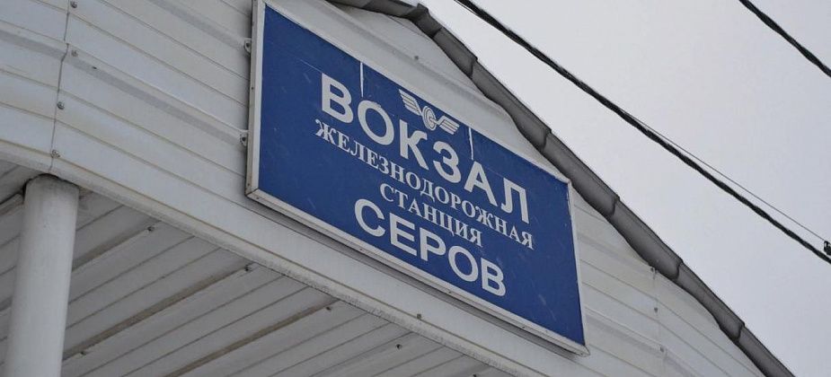 Хулигана, который ударил проводника, сняли с поезда в Серове
