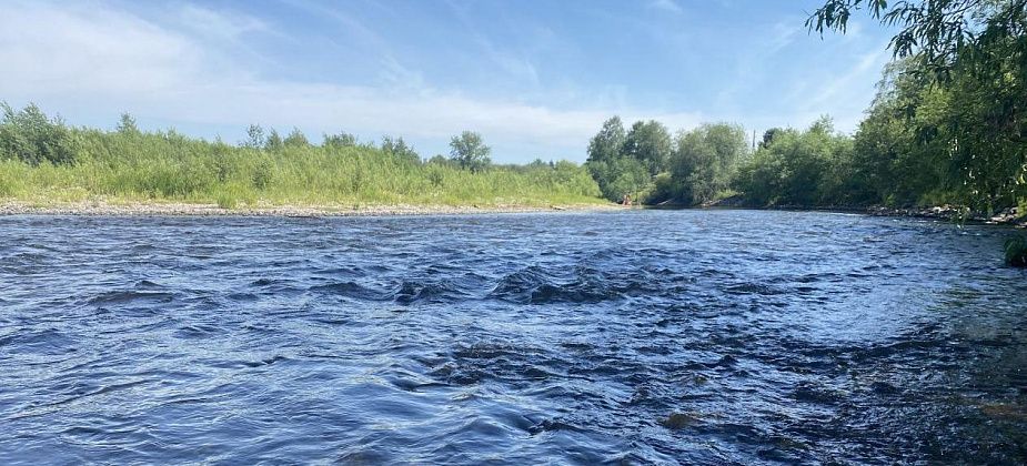 На выходные синоптики обещают жаркую погоду и грозы