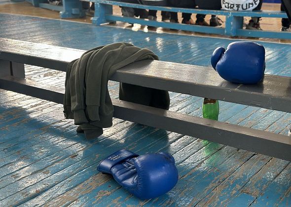 Юные серовские боксеры успешно выступили в Сосьве
