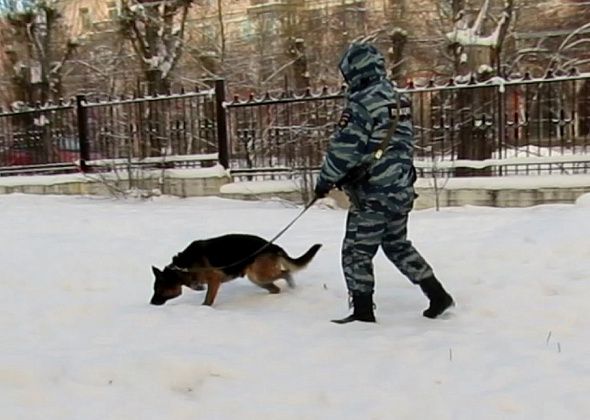 Ума Турман помогла серовским полицейским раскрыть кражу