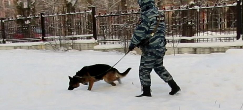 Ума Турман помогла серовским полицейским раскрыть кражу