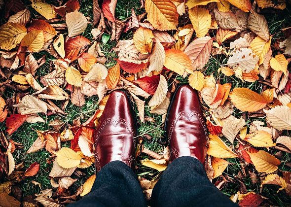 Ухаживаем за обувью: 4 совета, которые помогут в сезон дождей и слякоти 
