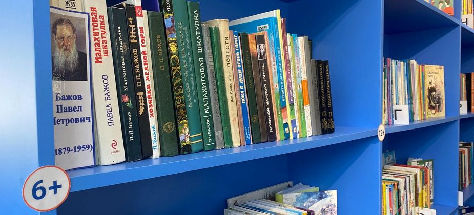Детская библиотека Серова проведет акцию “Дарите книги с любовью”