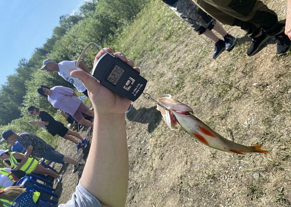 На серовском водохранилище пройдет конкурс рыбаков “На крючке”