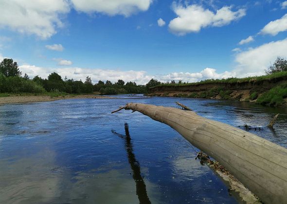 “Почему такую красоту не сберечь?” Серовчане переживают за состояние реки Каквы