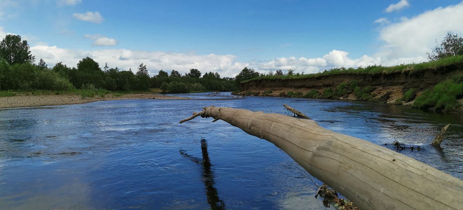 “Почему такую красоту не сберечь?” Серовчане переживают за состояние реки Каквы