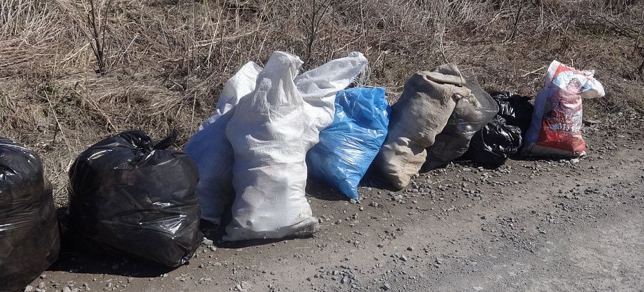 С 1 октября в Серове начнется большой субботник