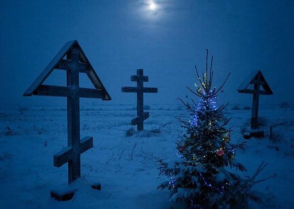 Новый год – праздник для живых и мертвых? С УМК “Обряд” разбираемся в традиции украшать ели на кладбищах