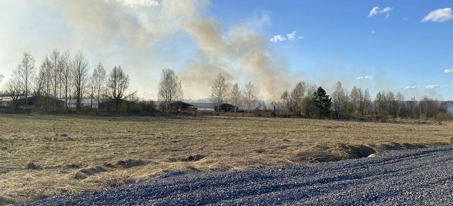 В районе недостроенного свинокомплекса под Серовом горела сухая трава