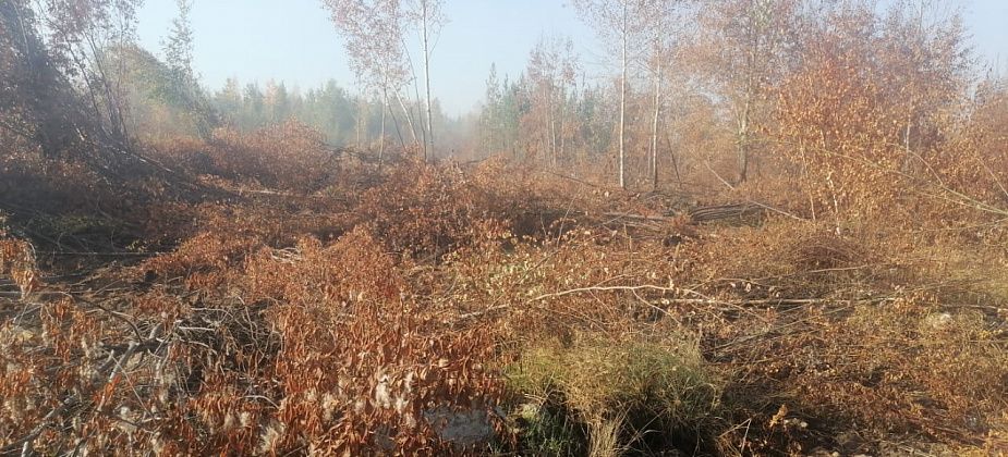 Жители Новой Колы вновь жалуются на запах гари