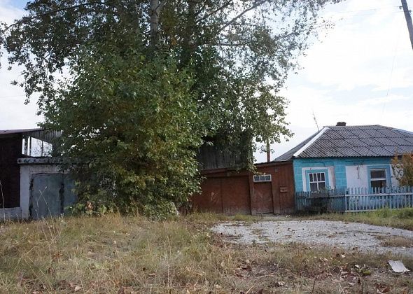 На "омоложение" тополей в Серове потратят денег больше, чем на валку старых деревьев