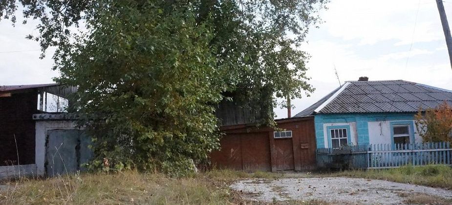 На "омоложение" тополей в Серове потратят денег больше, чем на валку старых деревьев