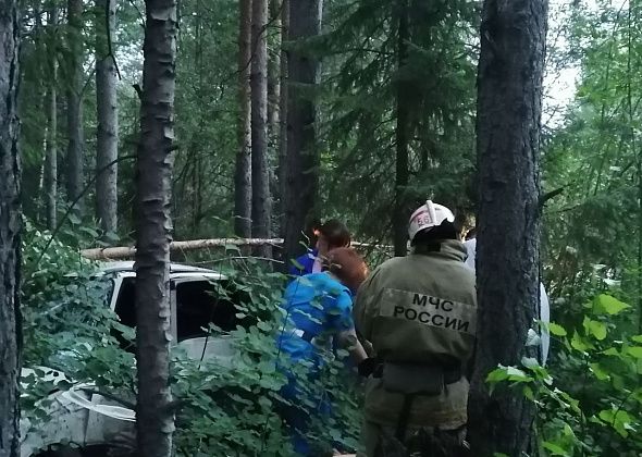 На дороге Серов - поселок Энергетиков погиб водитель "Дэу Нексия"