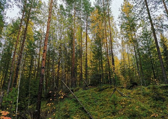 В Свердловской области ослабили запрет на посещение охраняемых природных территорий