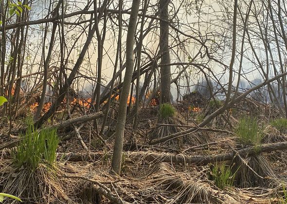 Крупных пожаров в Серовском лесничестве не было. В регионе 31 октября закончился пожароопасный период