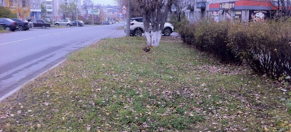 Администрация Серова провела субботник, после которого осталось много листвы