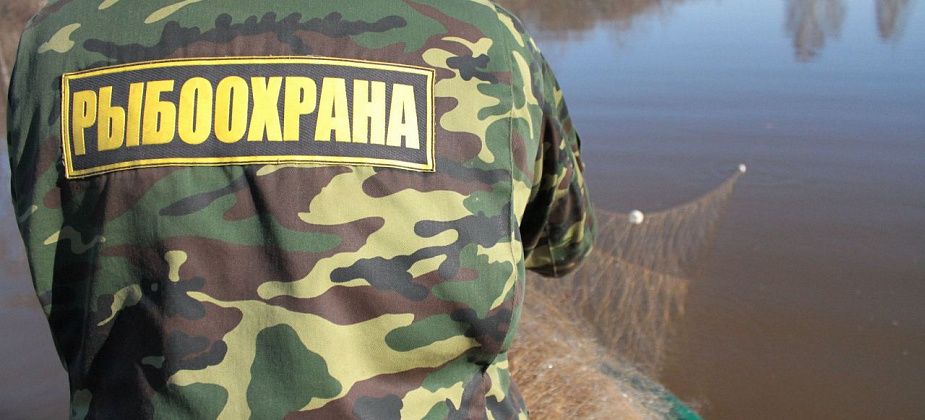 В Серове транспортная полиция расследует дело о браконьерстве