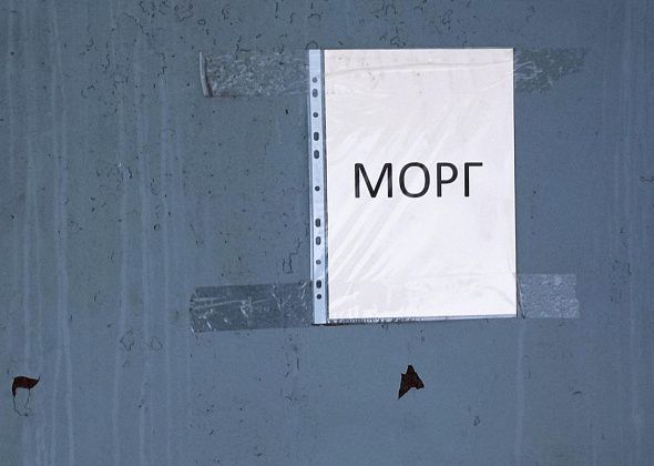 От сердечно-сосудистых заболеваний за год скончалось 604 серовчанина, от новообразований - 178