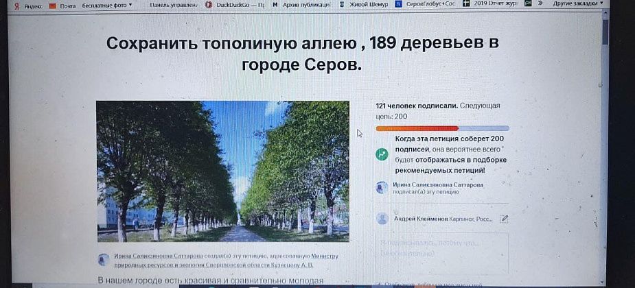 Опубликована петиция, призывающая сохранить в Серове тополиную аллею