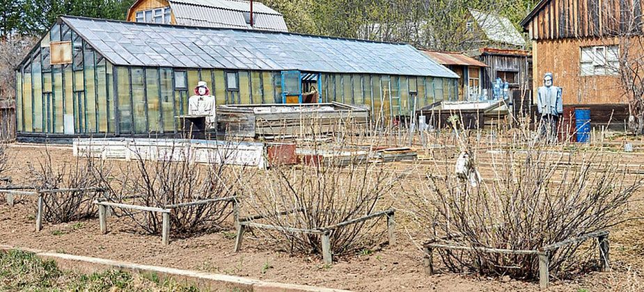 В Госдуме рассмотрят поправки в Гражданский кодекс о правах соседей по даче