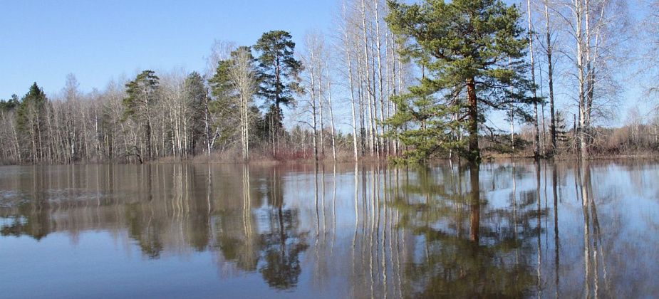 Серовчанин скончался на рыбалке. Его друг благодарит спецслужбы за помощь