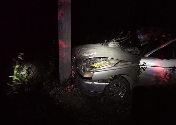 Водитель, который ехал в Серов, сбил лося под Краснотурьинском и попал в реанимацию