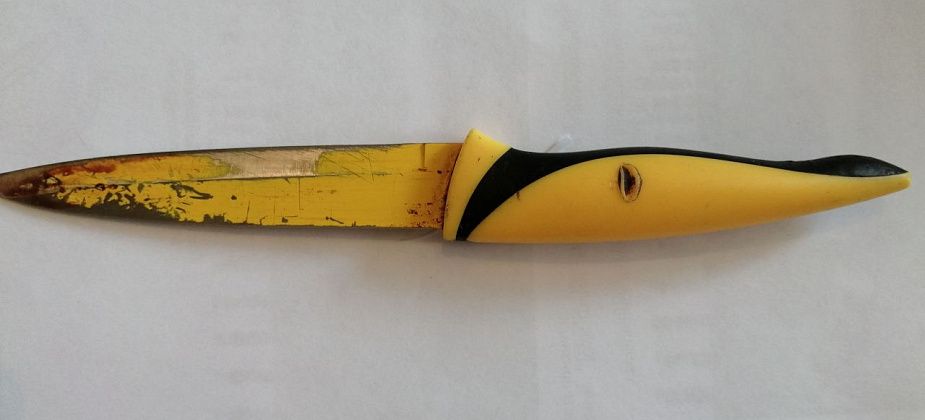 Жительница Филькино несколько раз ударила ножом мать, которая уговаривала ее лечь спать