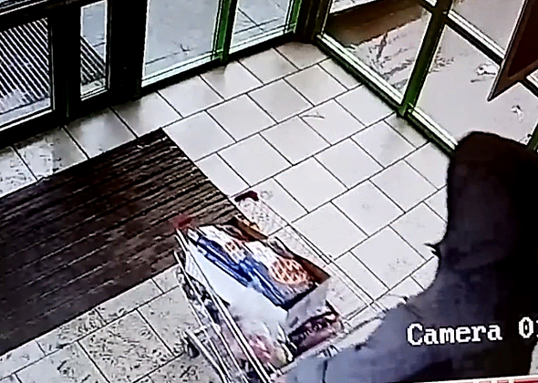 Освободившийся из колонии серовчанин воровал из магазинов тележками