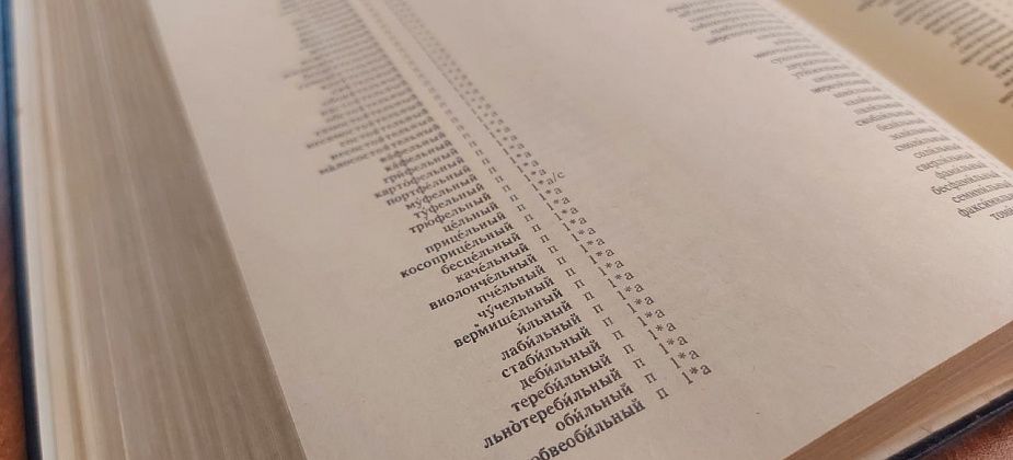 Президент России Путин подписал закон о недопустимости использования иностранных слов