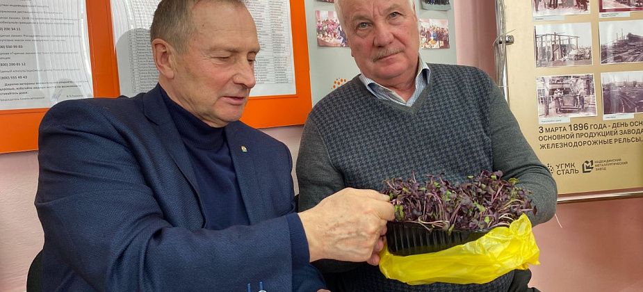 В Серове ветераны попробовали на вкус микрозелень и обсудили начало садово-огородного сезона