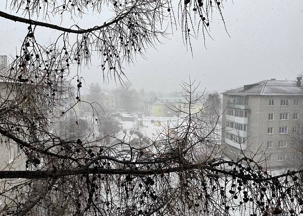 Синоптики прогнозируют прохладную погоду до 20 апреля