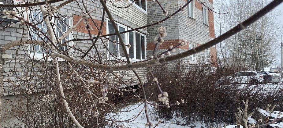 На севере области продолжатся колебания температуры