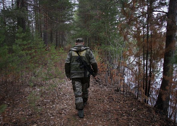 Охотинспектор о медвежонке на водохранилище под Серовом: “Зверь находится на своей территории”