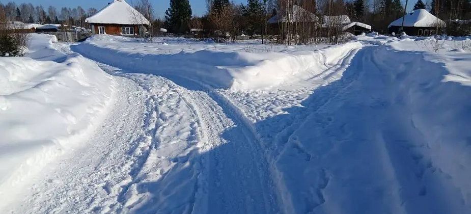 “Нам дрова жизненно необходимы”. В Андриановичах из-за нерасчищенных дорог боятся остаться без тепла