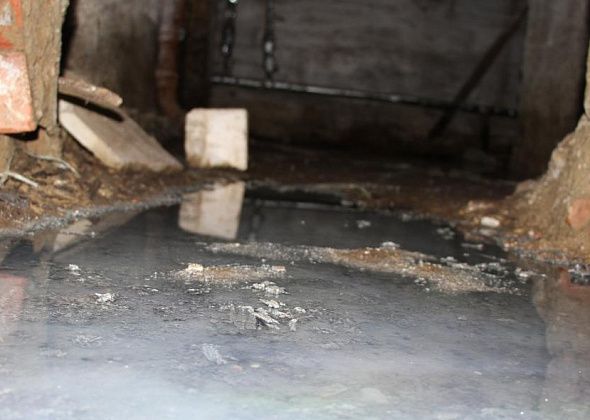 В подвале – потоп, во дворе – мусор. Жительница Сортировки недовольна работой управляющей компании