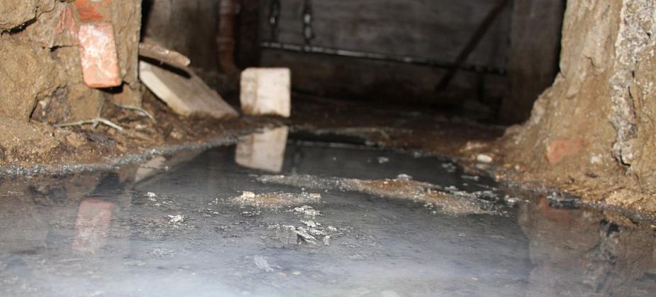 В подвале – потоп, во дворе – мусор. Жительница Сортировки недовольна работой управляющей компании