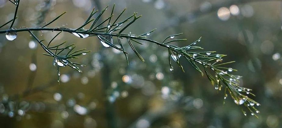 В выходные ожидается до семи градусов тепла