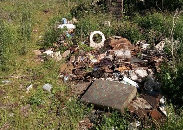 "Смотреть противно". Серовчанка жалуется на свалку мусора
