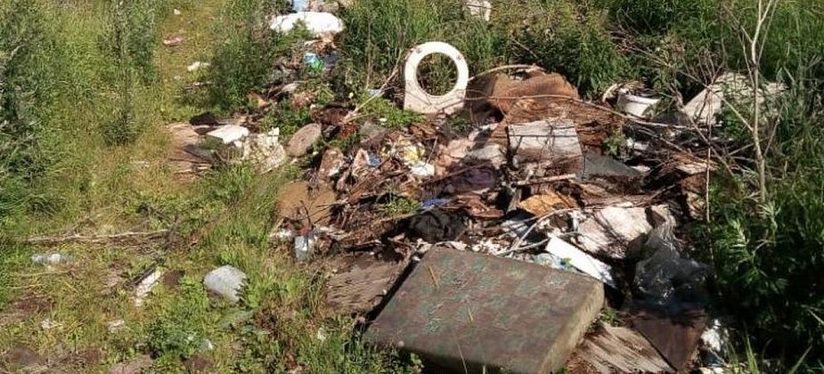 "Смотреть противно". Серовчанка жалуется на свалку мусора