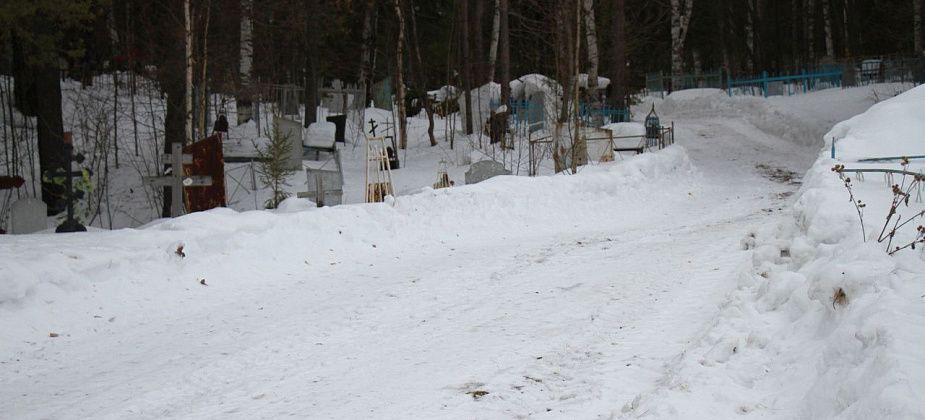 Новоселам Светлого микрорайона в Екатеринбурге приходится пробираться домой через темное кладбище