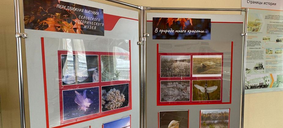 Игрушки, изделия из бересты, парфюмерия... Серовчан приглашают посетить передвижные выставки исторического музея