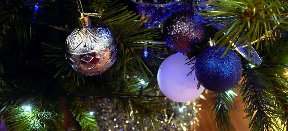 Как поучаствовать в акции «Елка желаний» в 2025 году