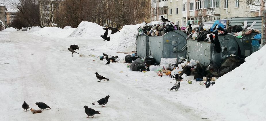 Серовчане жалуются на не вывезенный мусор с контейнерной площадки в центре города