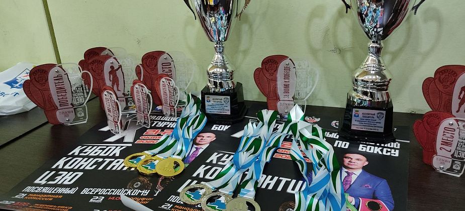 Абсолютным чемпионом турнира по боксу "Кубок Константина Цзю" стал серовчанин Ефим Зыков