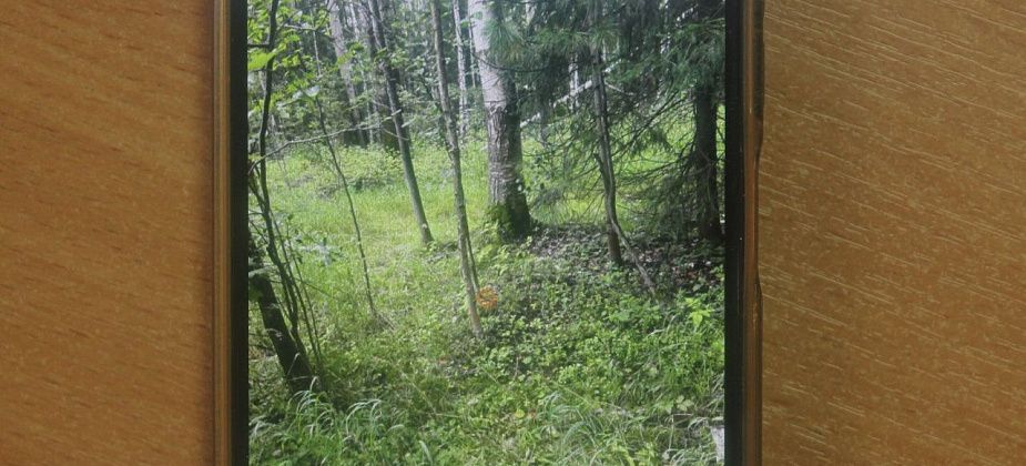 В Серове будут судить жителя Краснотурьинска, который вышел из леса с наркотиком и встретил полицию