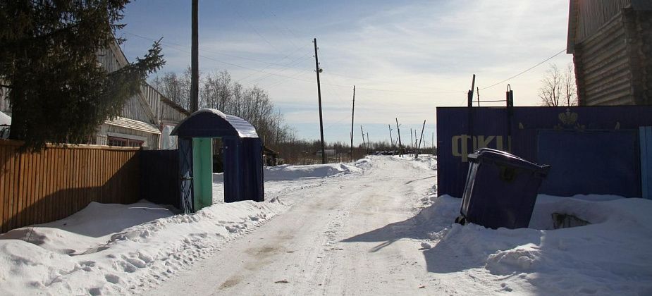 Серовский райсуд обязал гаринскую колонию устранить грибок в бане и повреждения стен в столовой для осужденных